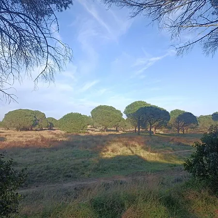 Grand Mobil 3chbr 2sdb La Carabasse Campsite Vias